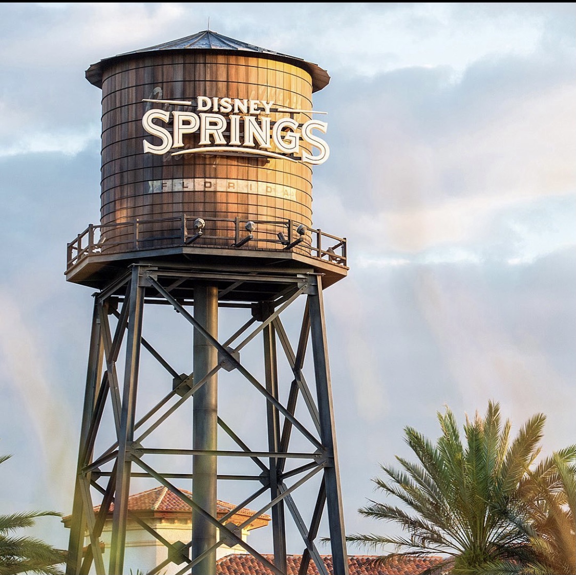 disney springs